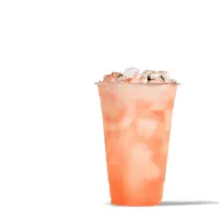 Organic-Watermelon-Limeade