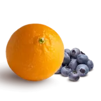 Kids Fruit Nutrition