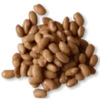 Pinto Beans Nutrition
